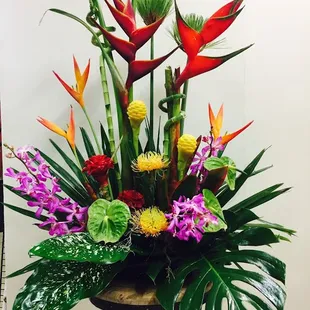 Tropical Arrangement
