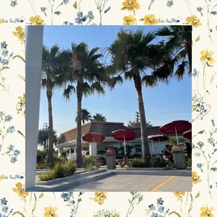 Outside