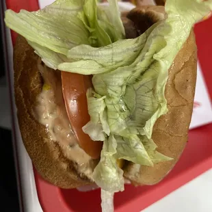 ows lettuce and tomato on a bun