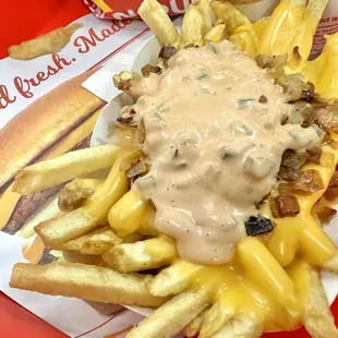 Animal style fries. Love the melted cheese and spread!!