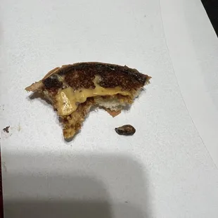 Piece of burnt bun and rock hard burnt potatoe (i hope).