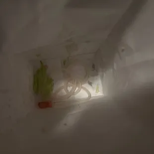 ows the inside of a microwave