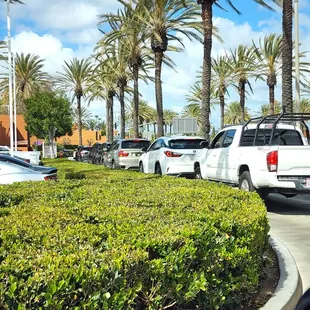 Long drive thru line on Saturday March 5th around Noon.