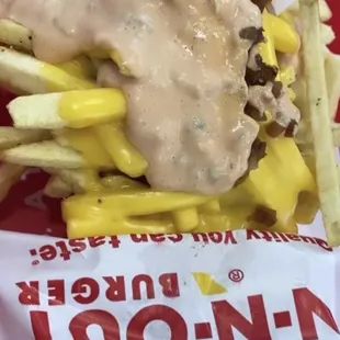 Animal style fries super good just a bit much of onion but I loved it and the burgers are good !