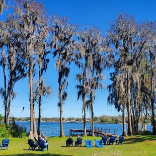 View from the beer garden