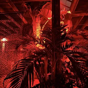 a red light in a dark room