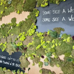 a sign that says someone see a weed, some see a wish