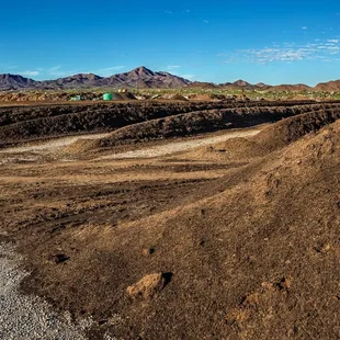 Tank's Green Stuff 100% Organic Compost sold here