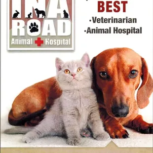 Voted Best Veterinarian 2015 in the Arizona Daily Star's Reader's Choice