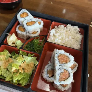 Spicy tuna and spicy salmon lunch
