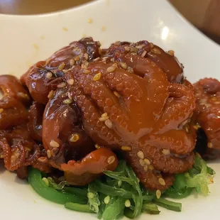 A7. Seasonal Baby Octopus