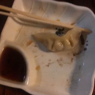 Gyoza