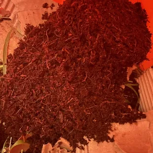 Worms