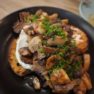Mushroom Toast