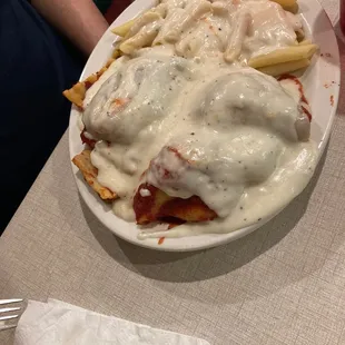 Combo 1.   Stuffed shells. Lasagna. Penne pasta