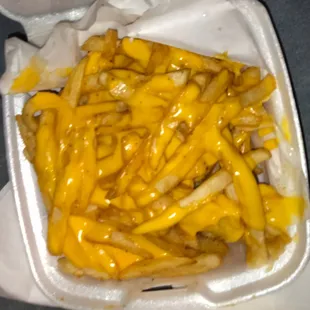 pasta dish, pasta, food