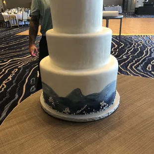 The cake they delivered.