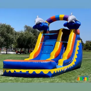 14FT Dolphin Splash Slide