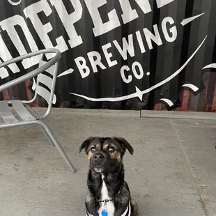 She loves this place!!