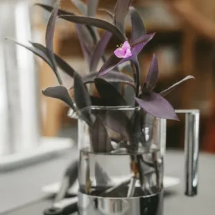 Photo by Joshua Zawiski