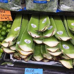 Aloe Vera heheh