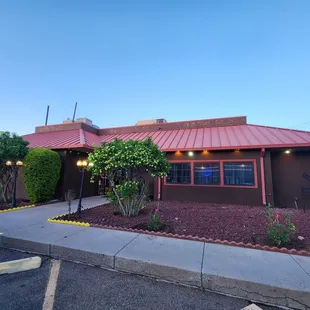 New colorful roses planted  @ India house!