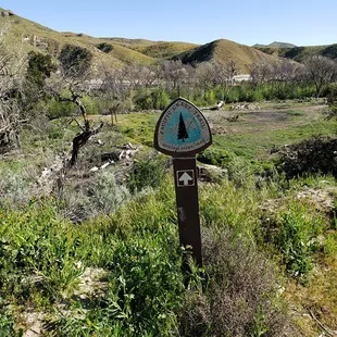 Pacific Crest Trail marker at trailhead