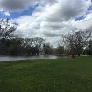 #3 Tee Box- Looking back