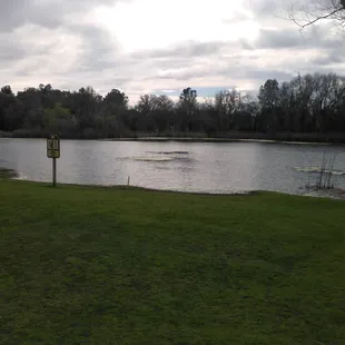 The pond behind number three tee box. So much wildlife!