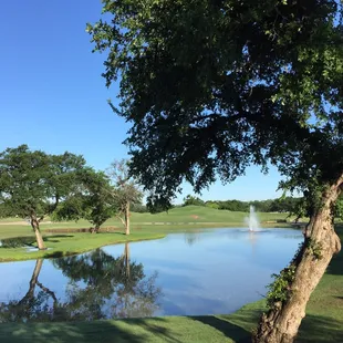 Beautiful day for golf.