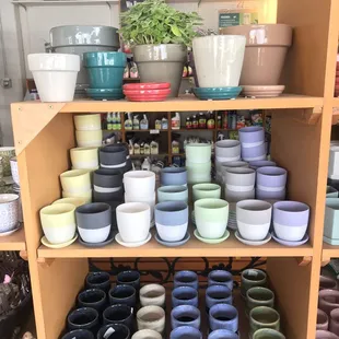 Indian Creek Nursery