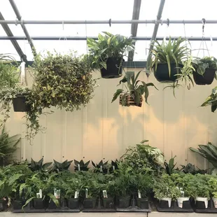 Back room of the store