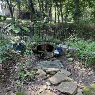 Tuesday September 7, 2021; Indian Creek Trail, Overland Park KS