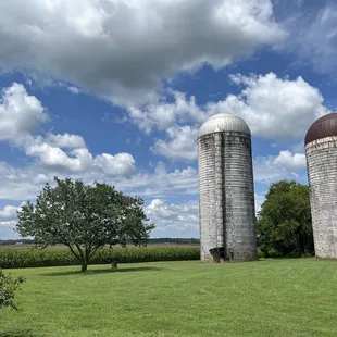 Field next to Restaurant