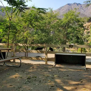 Site 14. Site #13 picnic table close by.