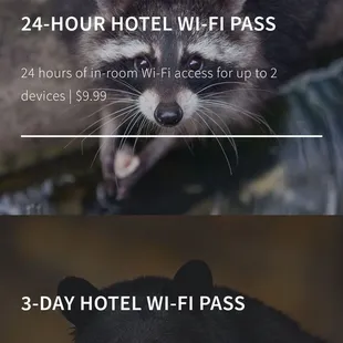 There&apos;s absolutely no reception (we had TMobile and Verizon phones). Buy wifi or be completely disconnected.