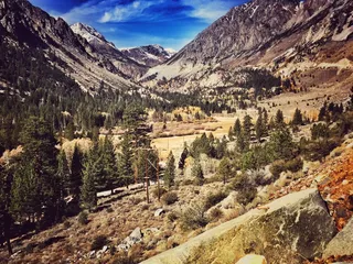 Aspen campground