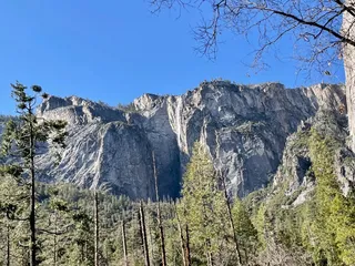 Yosemite's Scenic Wonders Vacation Rentals