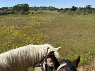 Lake Camanche South Shore