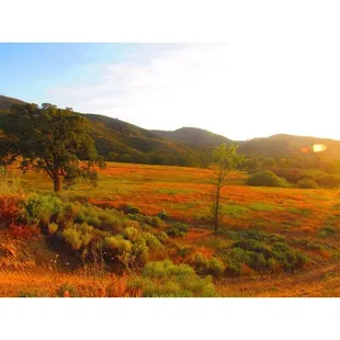 Indian Hill Ranch Rv Park