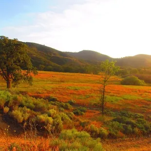 Indian Hill Ranch Rv Park