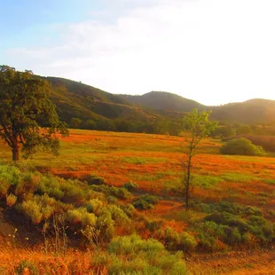 Gorgeous sunset coming