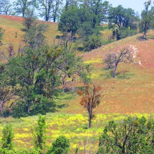 Hills surrounding the behind the gate area