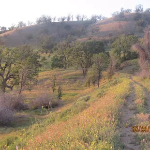 View of the damn path.