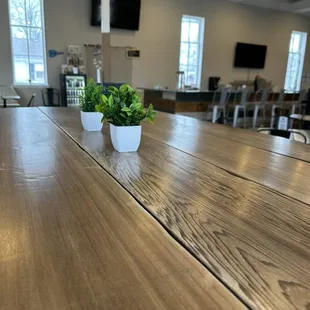 a wooden table with potted plants