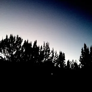 View from the patio of our room.