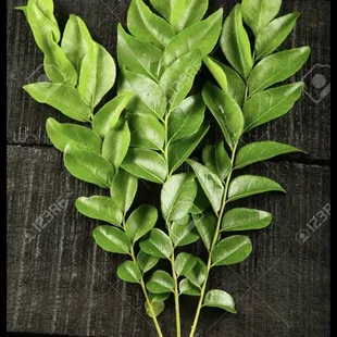 Fresh curry leaves