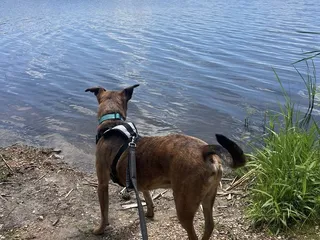 Purgatory Creek Park