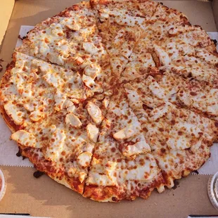 Non-Veg Middlesex St Pizza