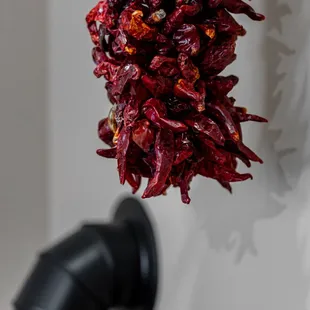 Indian Pueblo Cultural Center